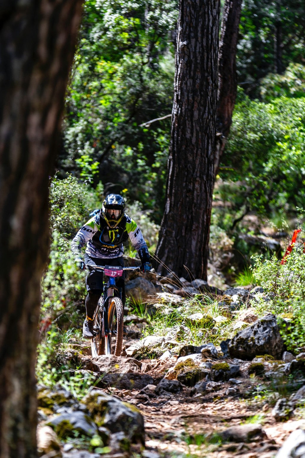 Mountain biker riding a rugged trail